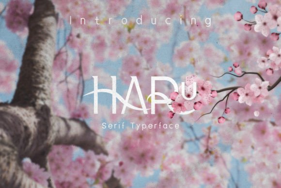 How Haru Font Transformed My Brand’s Visual Identity