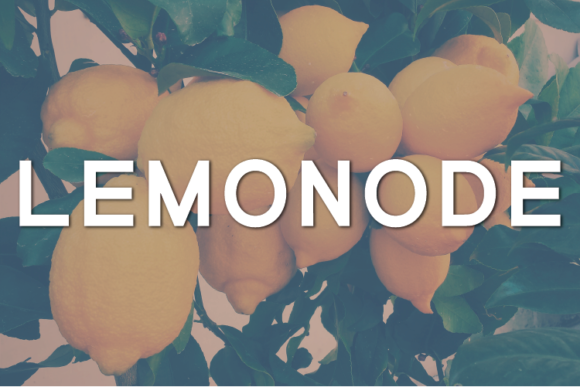 How Lemonode Elevated My Campaign’s Visual Clarity