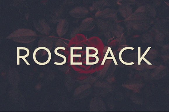 Roseback: A Modern Sans Serif Font for Professional Branding