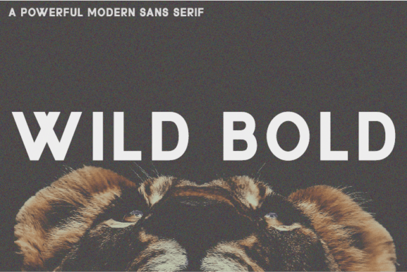 Wild Bold: A Modern Sans Serif Font for Polished Branding